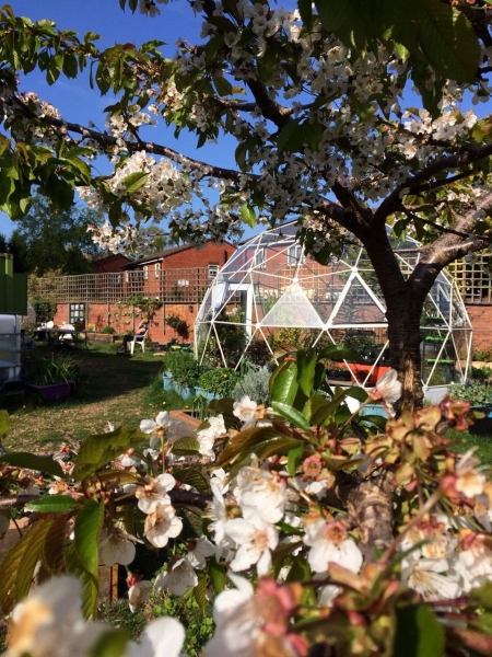 Canning and Toxteth Gardens